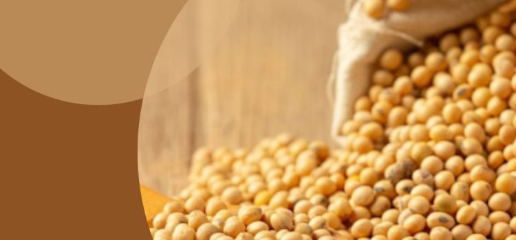 5 Major Benefits of Soya Beans – The USA Meds
