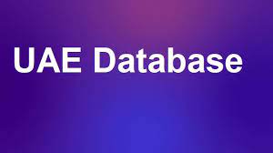Importance of Customer Database UAE