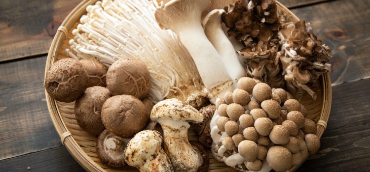 What Are The Health Benefits Of Eating Mushrooms?