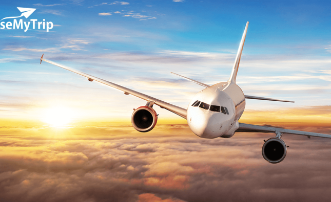 Delhi to Bangalore Flights: Essential Information