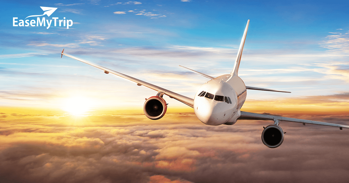 Delhi to Bangalore Flights: Essential Information