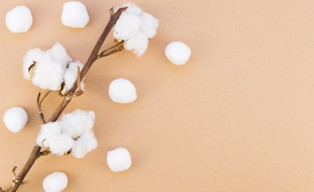 sustainable cotton clothes