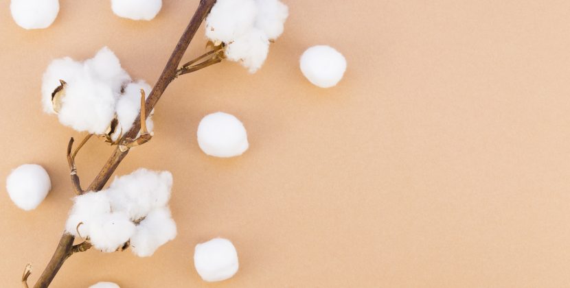 sustainable cotton clothes